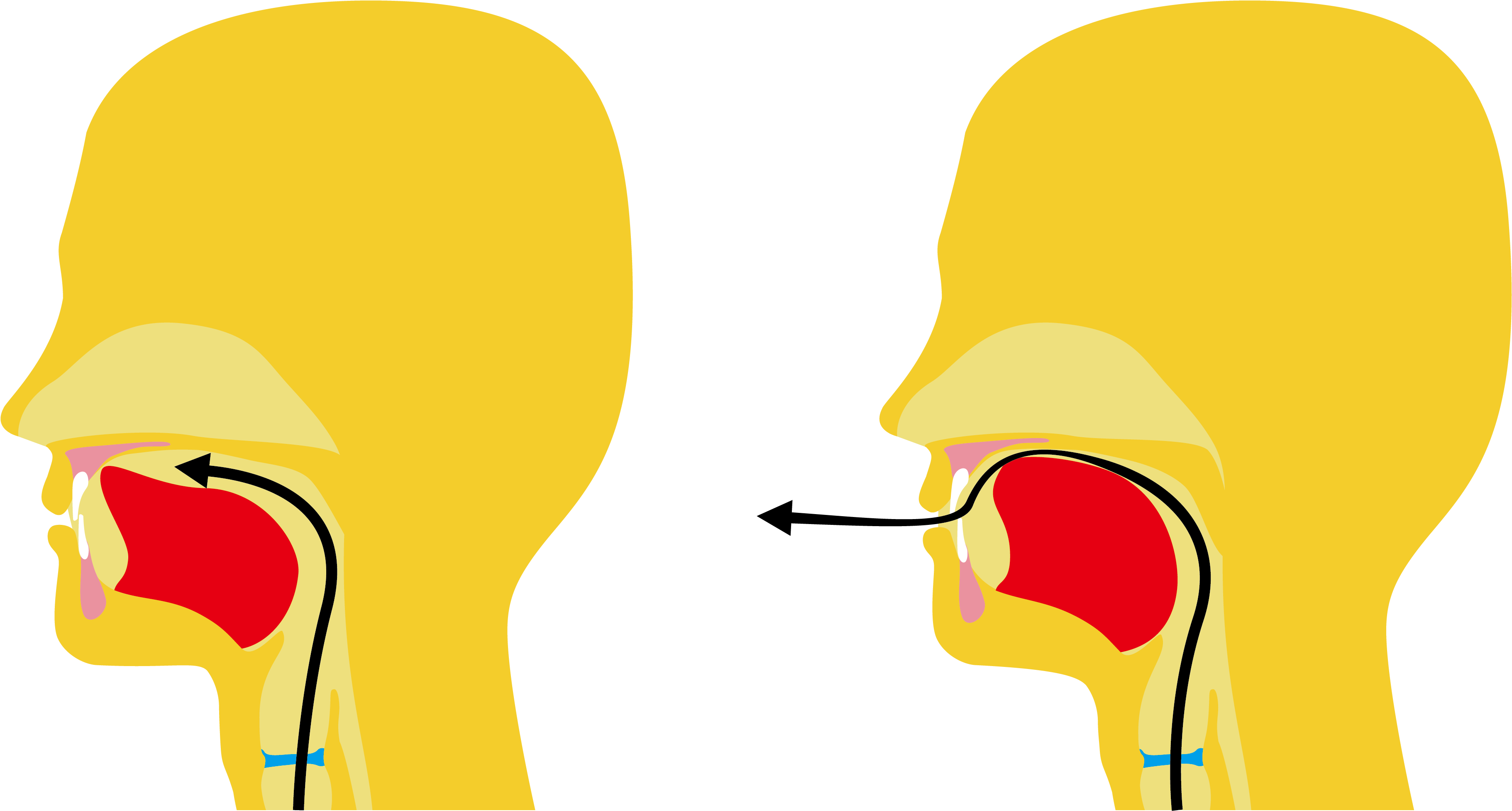 Lsd Visual Sign Language Dictionary Clipart (4559x2433), Png Download