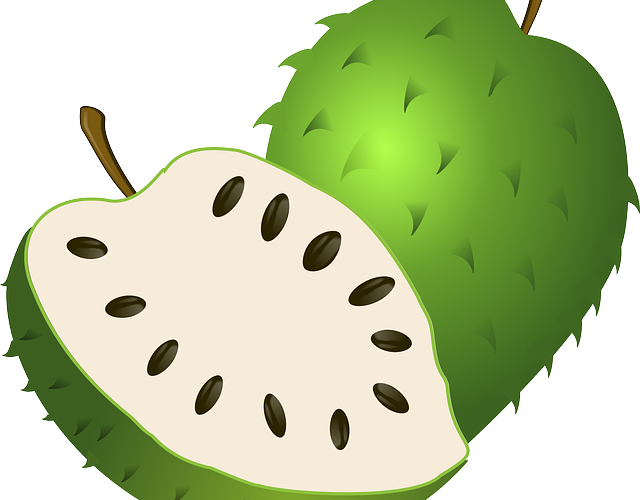 Custard Apple Clipart - Png Download (640x500), Png Download