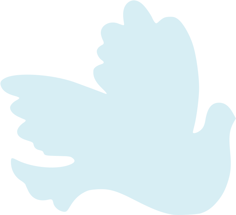 Medium Image Clipart (800x729), Png Download