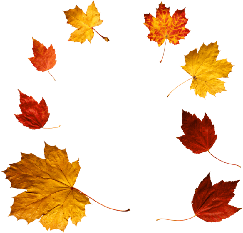 Download Autumn Leaves Clipart Png Photo Transparent Png (850x812), Png Download