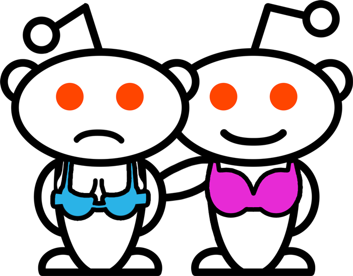 I Can't Remember How I First Stumbled Across The Bra Clipart (700x549), Png Download