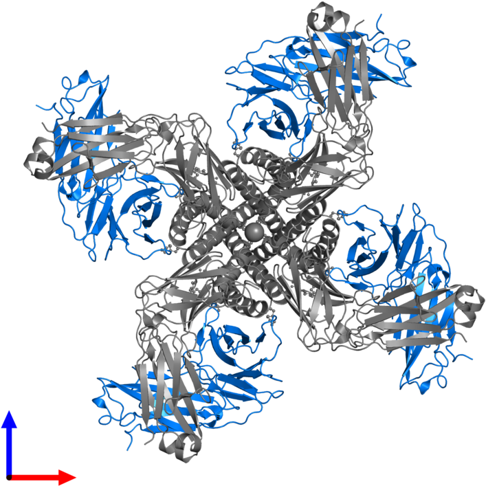 <div Class='caption-body'>pdb Entry 2hvk Contains 4 Clipart (800x800), Png Download