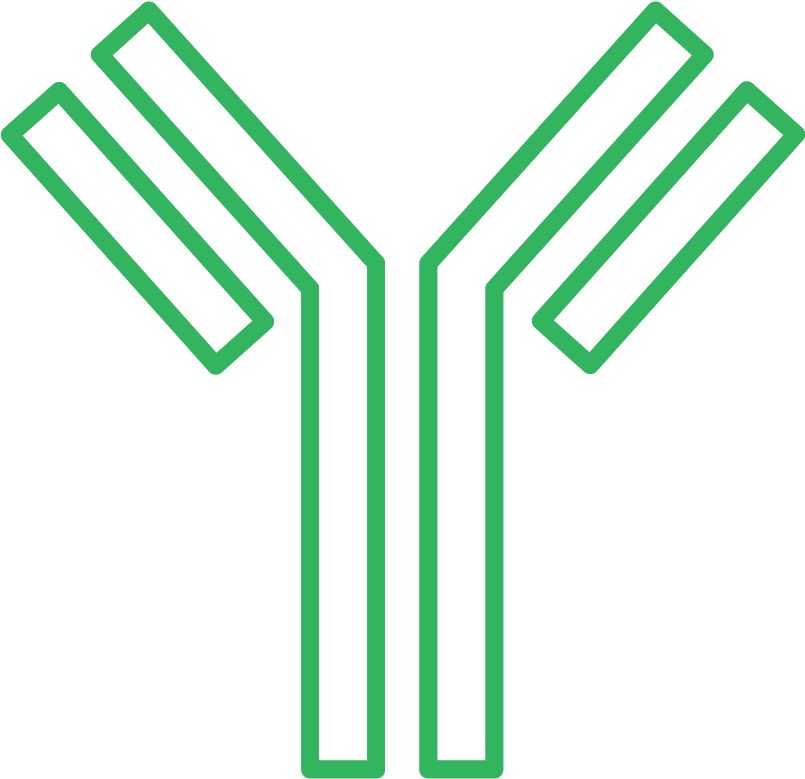 Product Description Clipart (1000x1000), Png Download