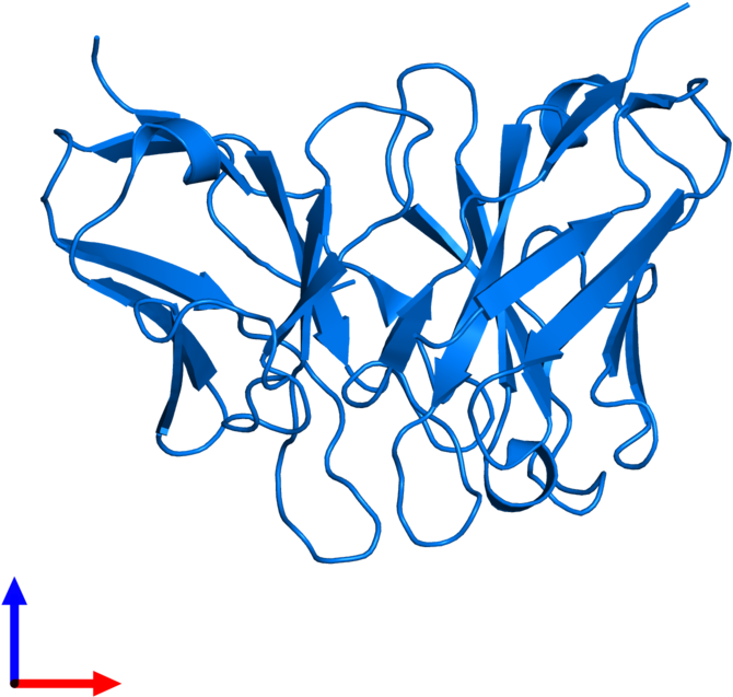 <div Class='caption-body'>pdb Entry 4p48 Contains 1 Clipart (800x800), Png Download