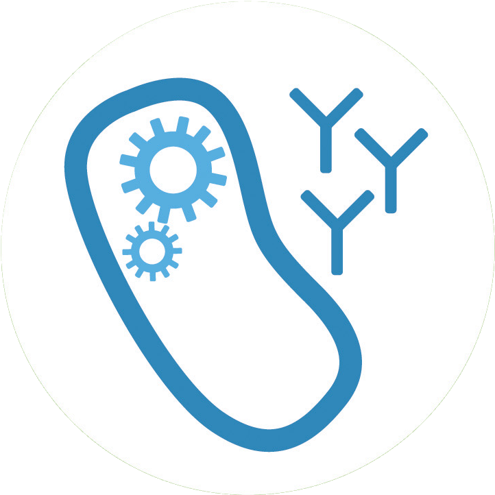 First, We Will Construct An Expression System Of E Clipart (799x829), Png Download