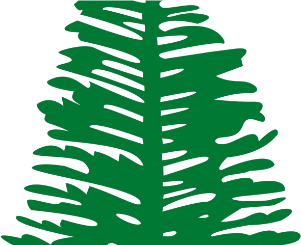 Pine Clipart Big Plant - Png Download (640x480), Png Download