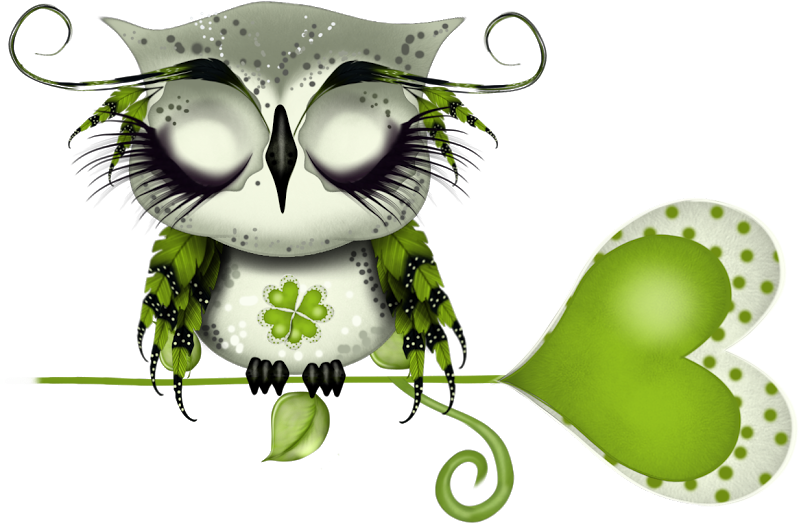 Cahier Journal, Cartoon Birds, Cute Owl, Owl Art, Osaka, Clipart (799x523), Png Download