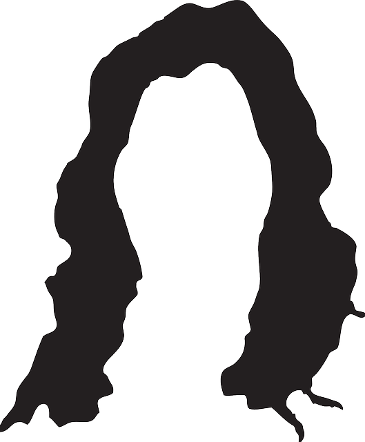Head, Black, Silhouette, Style, Hair, Wig Clipart (529x640), Png Download