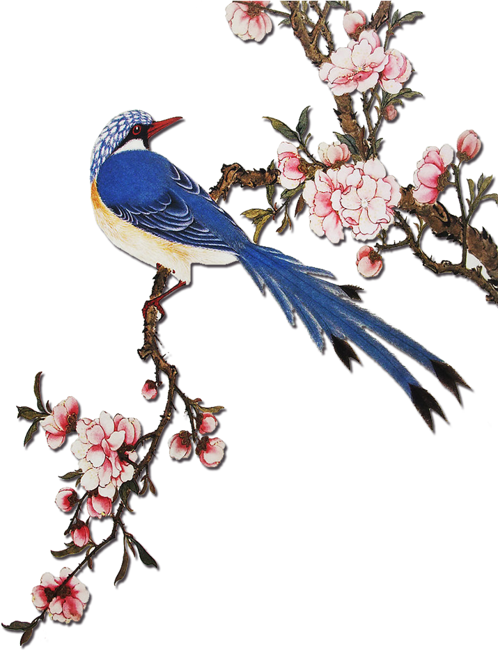 Clip Art Flowering Peach Tree - Png Download (1000x1000), Png Download