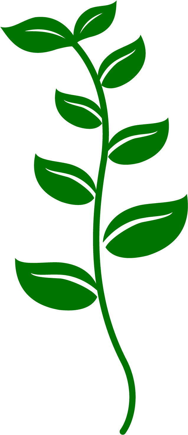 Girl And Ladybugs Clip Art - Png Download (1500x1500), Png Download