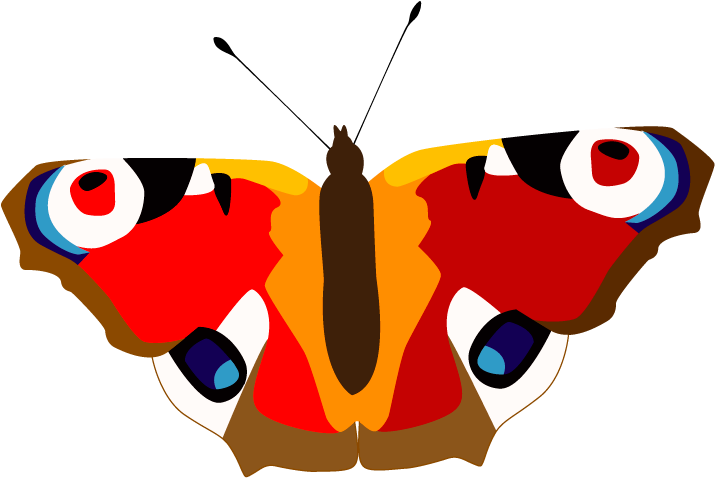 Peacock Butterfly Clipart (800x600), Png Download
