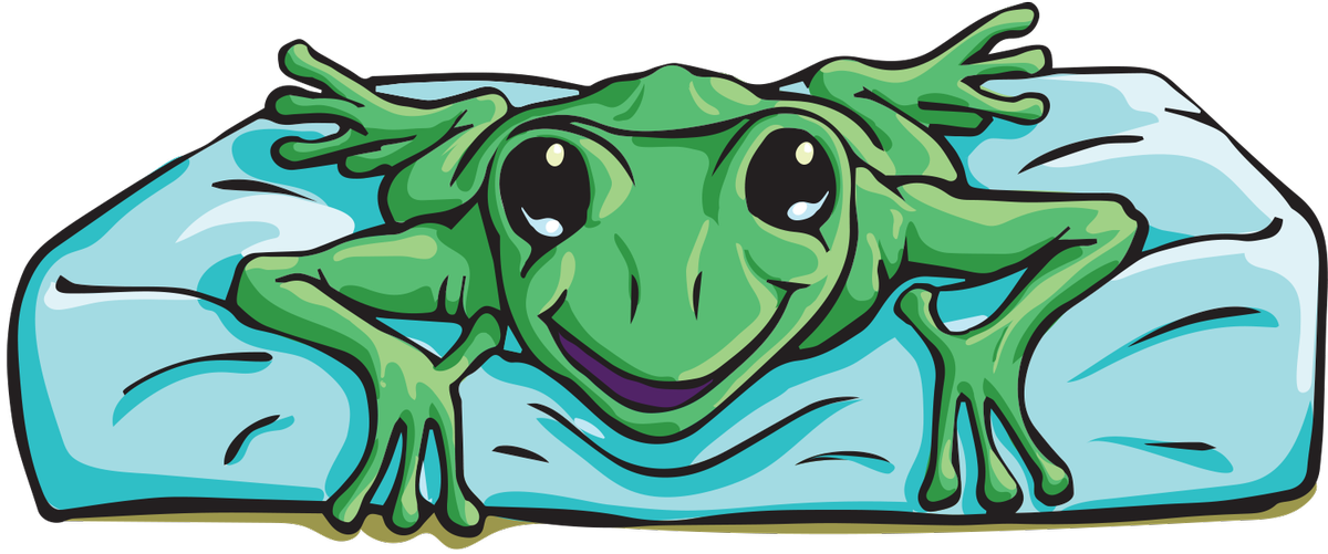 #frogs #terrariums Http Clipart (1200x501), Png Download