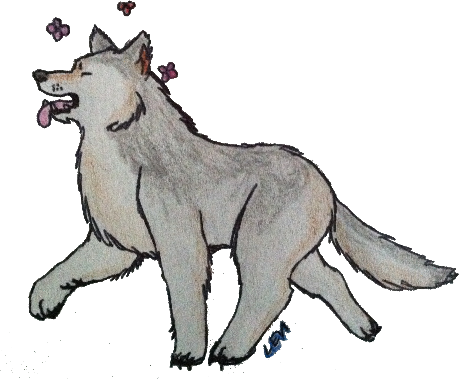 Coat Pattern And Ears Of A Native American Indian Dog, Clipart (1914x1603), Png Download