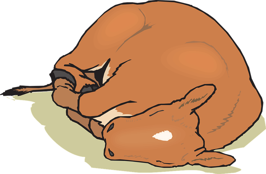 Images Of Goat Cartoon Clipart (900x589), Png Download