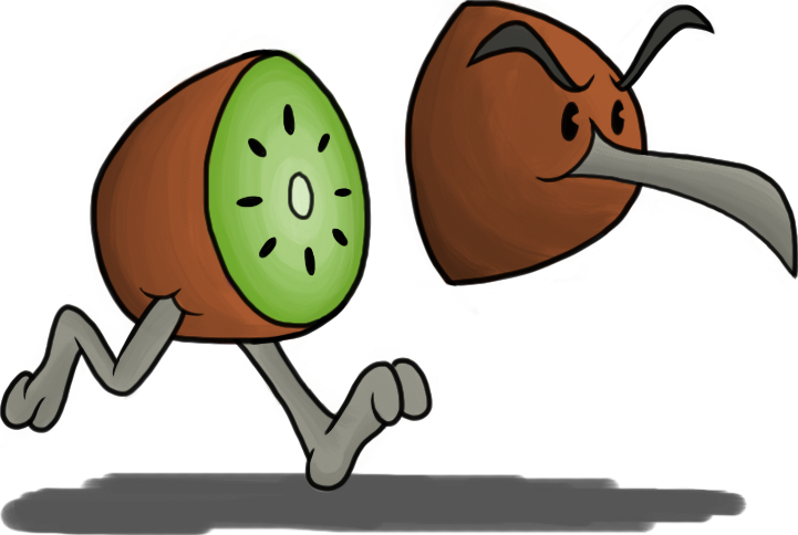 Kiwi Bird - - Pluspng - Com Get I Clipart (721x484), Png Download