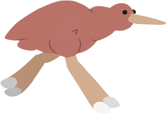 For The Kiwi Bird, We Wanted It To Have A Bounce And Clipart (800x500), Png Download