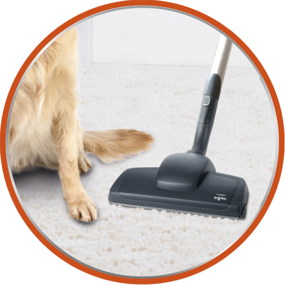 Ideal For Pet Owners Clipart (580x580), Png Download