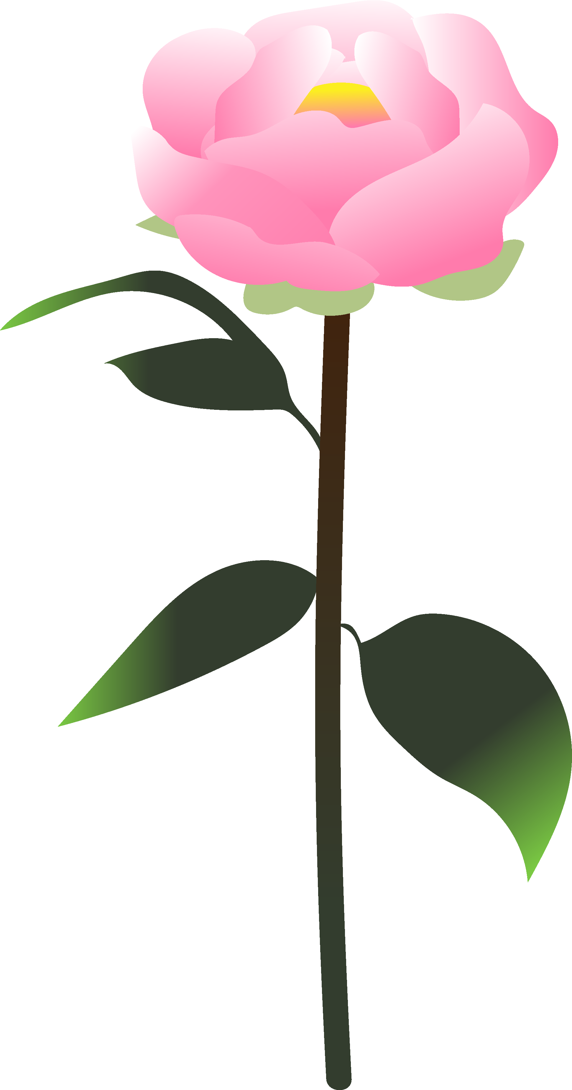 You Created A Peony Clipart (1940x3697), Png Download