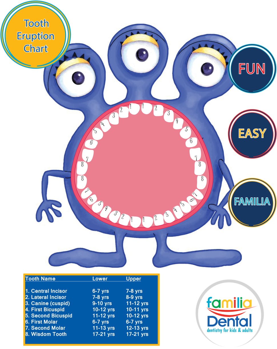 Clip Art Adult Familia Dental When - Png Download (1000x1294), Png Download
