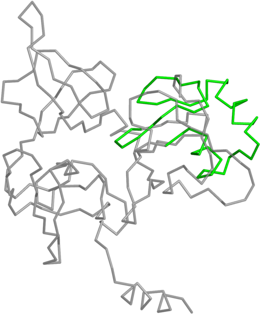 <div Class='caption-body'>2 Copies Of Pfam Domain Clipart (800x800), Png Download