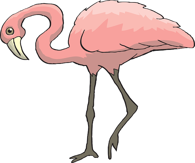 Curious Pink, Bird, Flamingo, Long, Neck, Animal, Beak, Clipart (640x536), Png Download