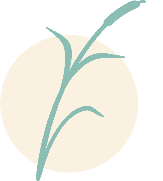 2017 Apple Valley Assisted Living, All Rights Reserved Clipart (620x620), Png Download