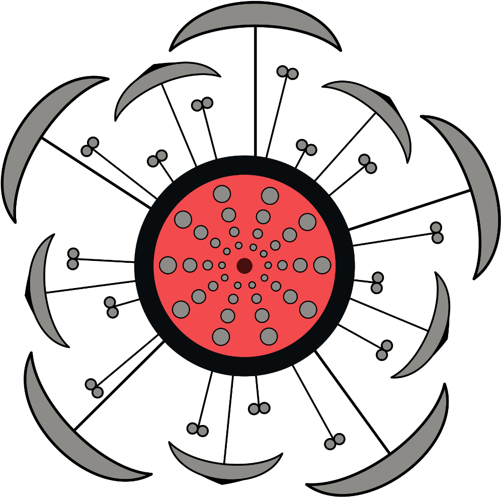 Floral Diagram Of Hibiscus Clipart (1097x1088), Png Download