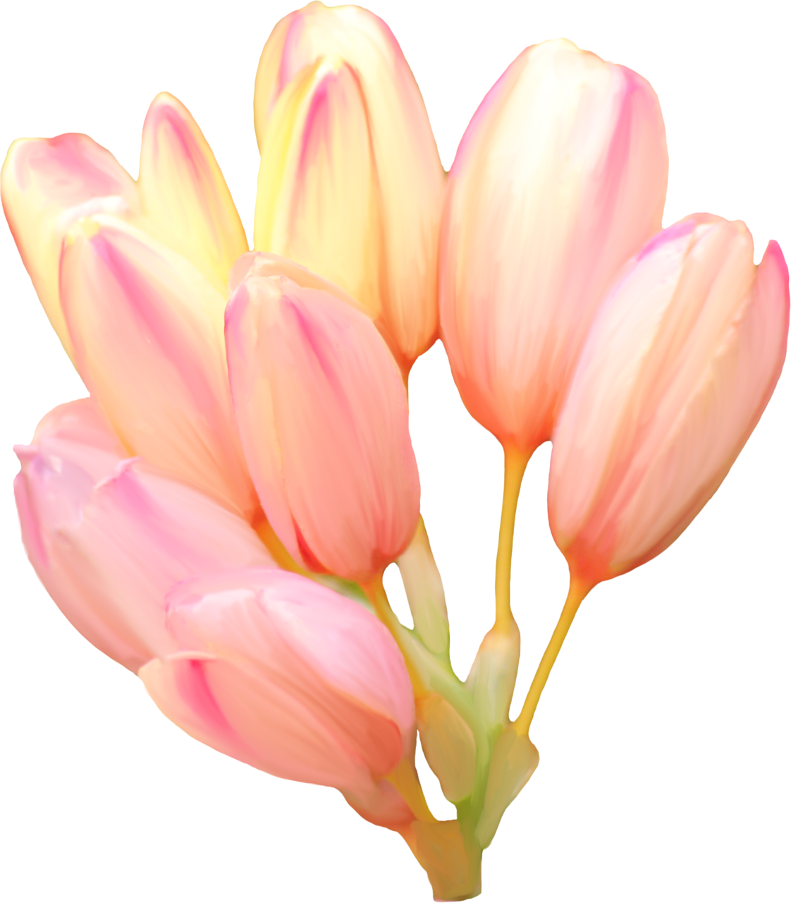 Sunday Monday Tuesday Wednesday Thursday Friday Saturday Clipart (1122x1280), Png Download