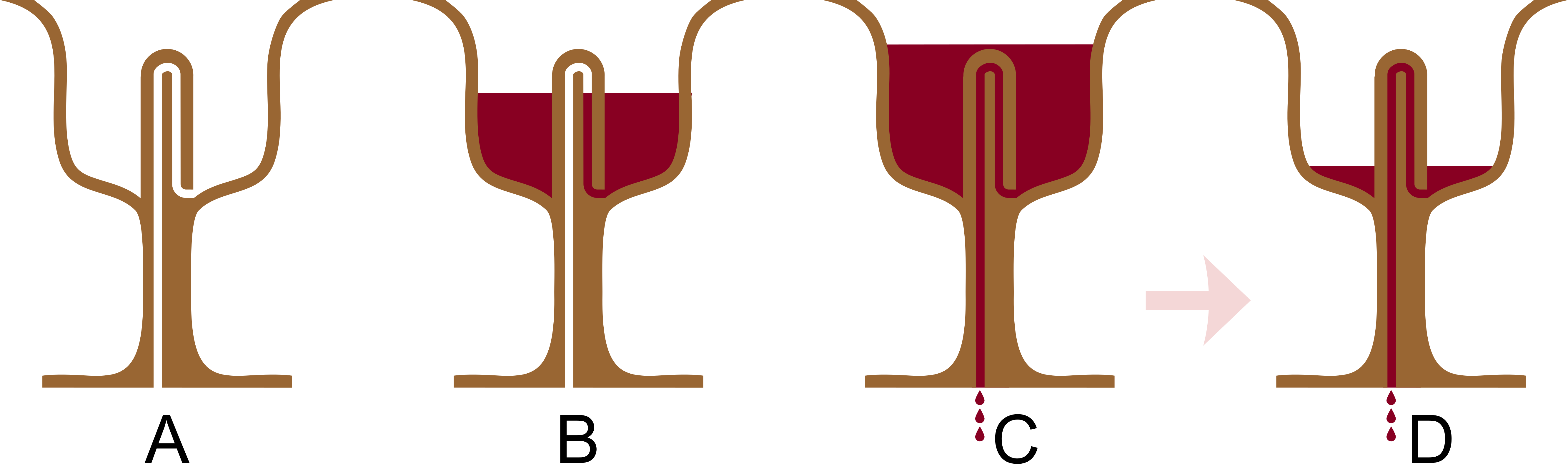 Post - Pythagorean Cup Clipart (2560x757), Png Download