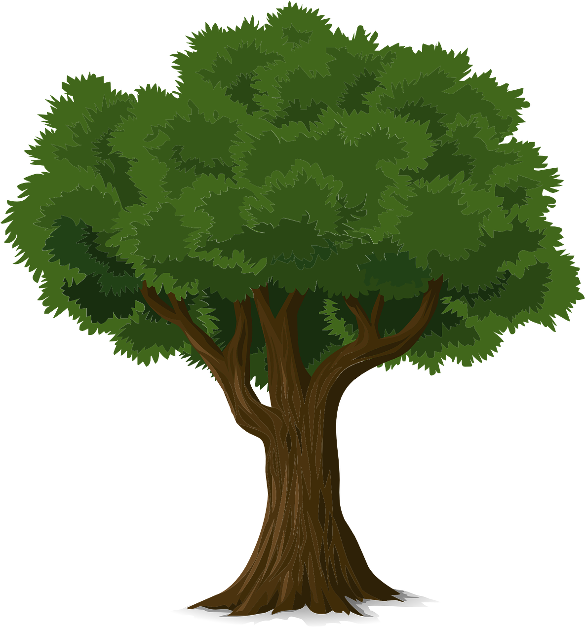 A Dying Tree Png - Koh Fit Stress Ball With Hand Exercise Ebook + Natural Clipart (592x640), Png Download