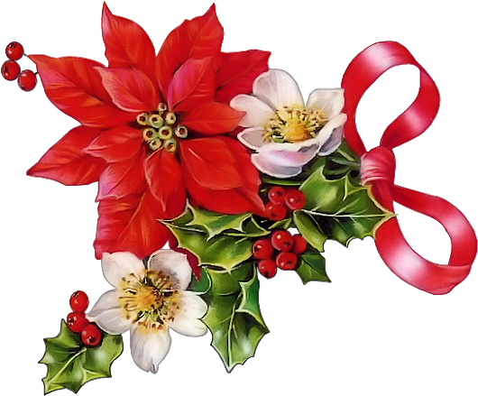 Glansbilleder - Plaatjes - Christrosen - Christmas - Vintage Poinsettia Clip Art - Png Download (640x500), Png Download