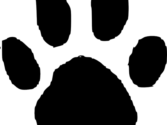 Footprints Clipart Deer - Dog Footprints Of Animals - Png Download (640x480), Png Download