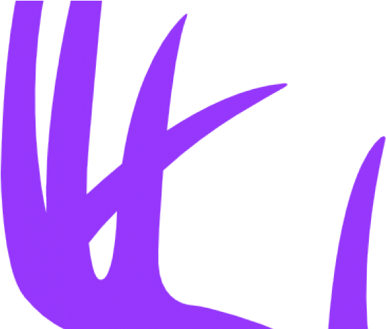 Original - Emblem Clipart (640x480), Png Download