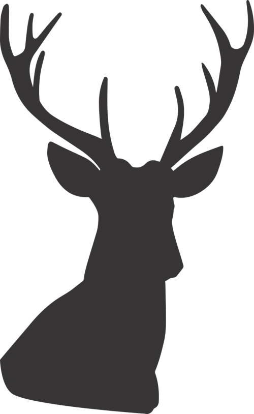 Jpg Library Free Photos Deer Silhouette Clipart (500x814), Png Download