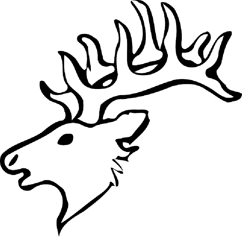 Head, Silhouette, Face, Skull, Cartoon, Deer, Heads - Easy Elk Head Drawing Clipart (800x783), Png Download