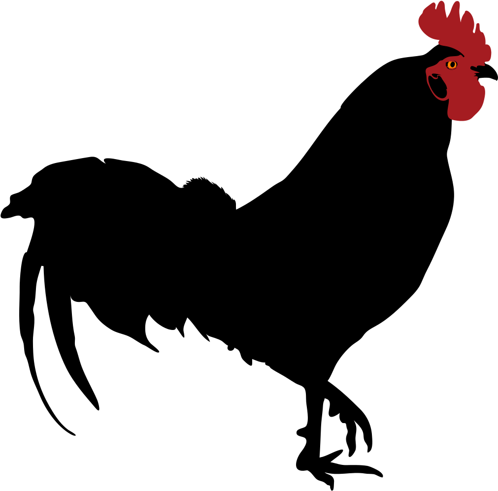 Images For > Rooster Silhouette Clip Art - Rooster Silhouette Png Transparent Png (1000x974), Png Download
