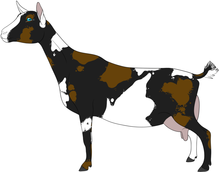 Goat Clipart Goat Farming - Png Download (800x747), Png Download
