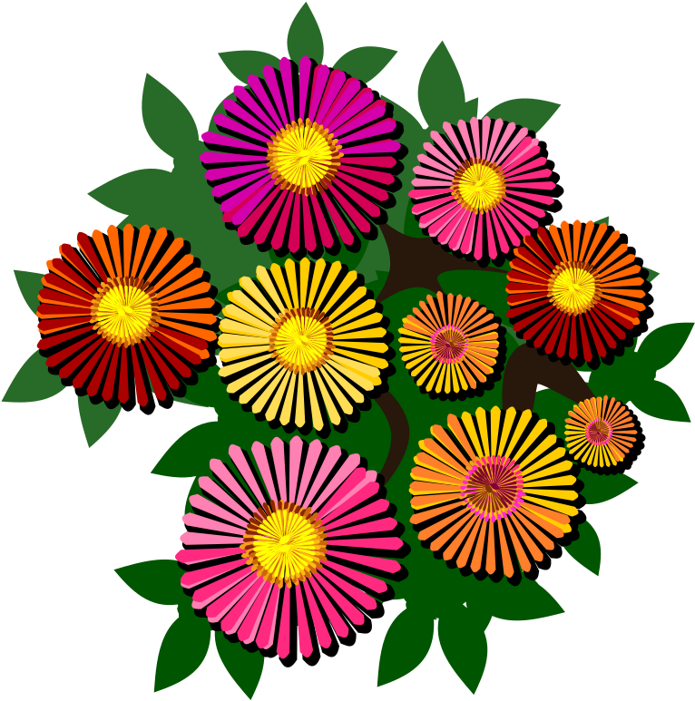 All Photo Png Clipart - Flower Transparent Png (750x750), Png Download