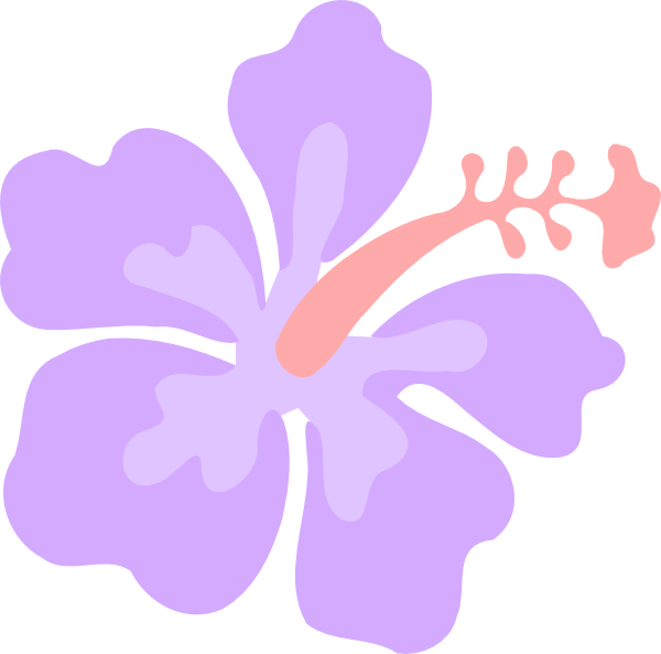 Purp Pink Clip Art - Hibiscus Flower Clipart Black And White - Png Download (600x593), Png Download