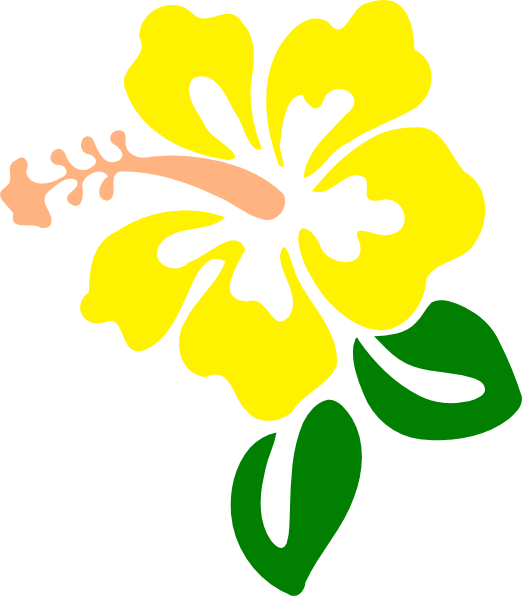 Hibiscus Yellow Clip Art - Png Download (522x596), Png Download