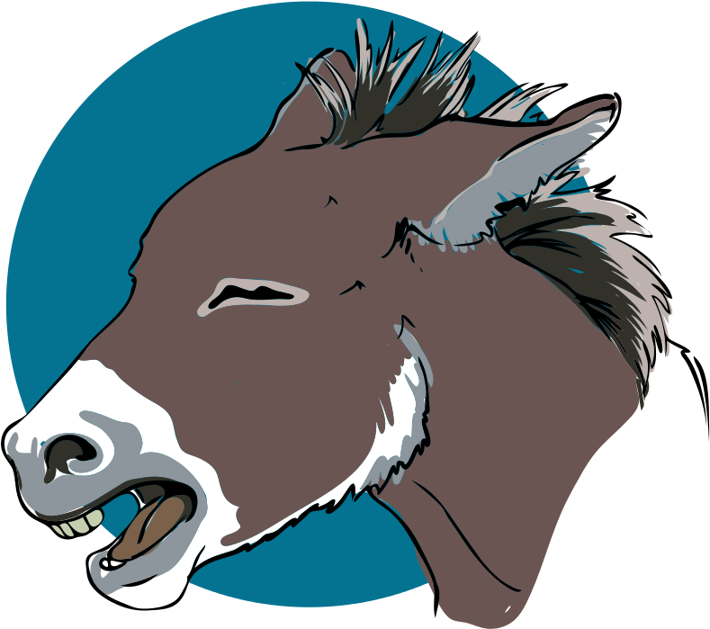 Donkey Closeup - Chibi Donkey Clipart (845x768), Png Download