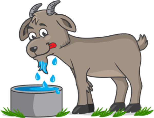 Donkey Clipart Animal Diet - Cartoon - Png Download (640x480), Png Download