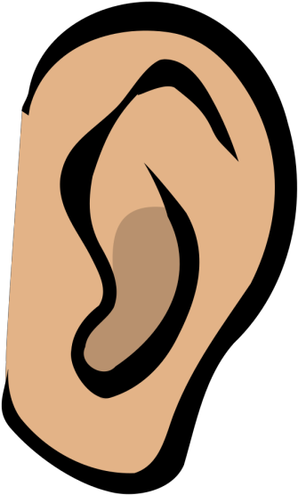 A Week Later, One Of The Nurses Complimented Me On - Ear Clip Art - Png Download (432x720), Png Download
