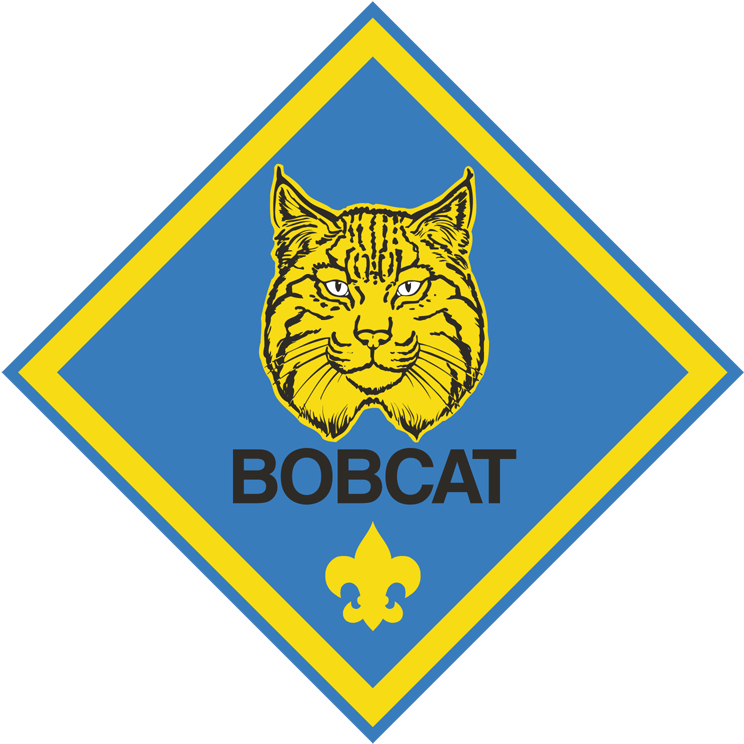 Bobcat Clipart (750x750), Png Download
