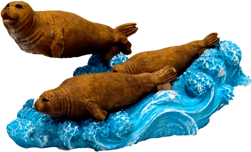 Jbl Actionair Pinnipeds Clipart (800x800), Png Download