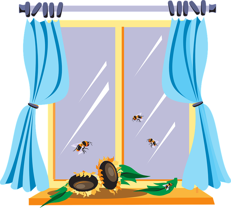 Cartoon Window Clipart (799x720), Png Download