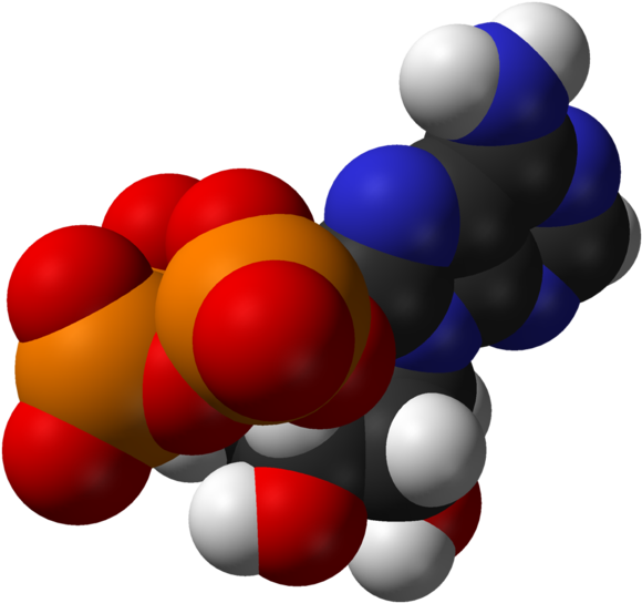 Is All Life Due To An Alien Energy Source Clipart (635x599), Png Download