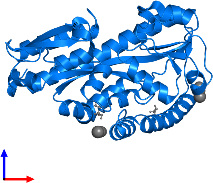<div Class='caption-body'>pdb Entry 3u65 Contains 1 Clipart (800x800), Png Download