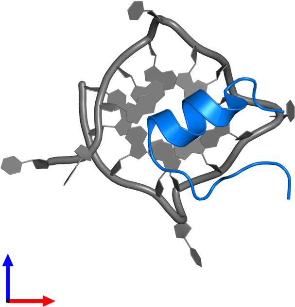 <div Class='caption-body'>pdb Entry 2n21 Contains 1 Clipart (800x800), Png Download