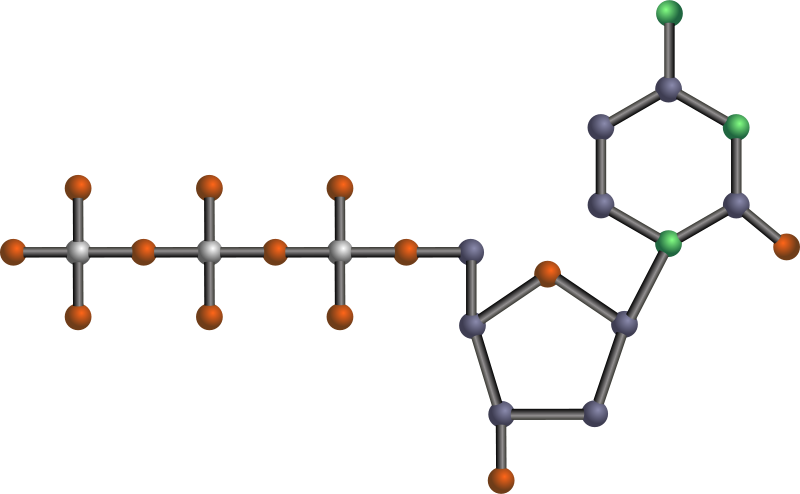 Cat, Lucky, Beckoning Clipart (800x494), Png Download